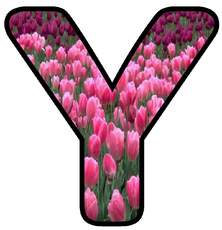 Dekobuchstaben-Tulpe_Y.jpg